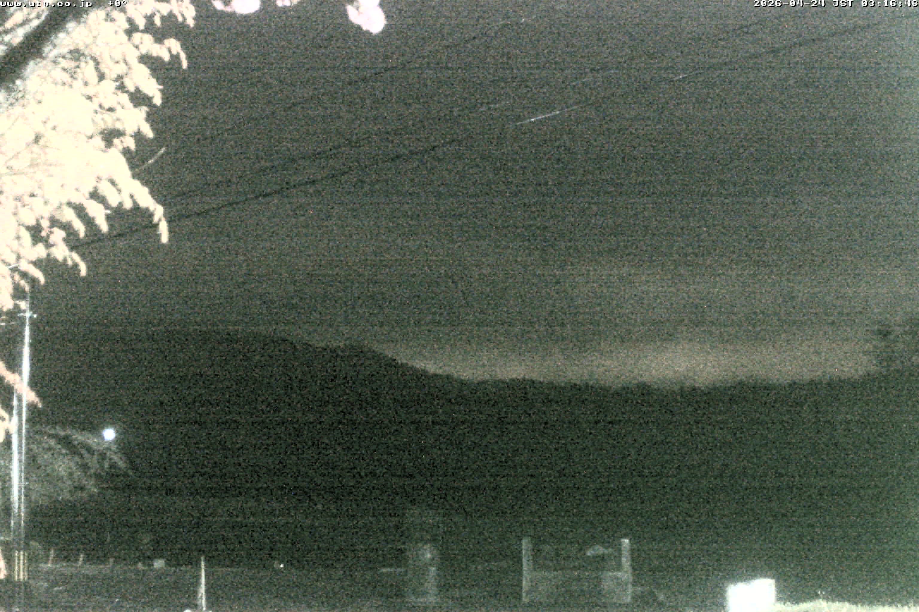 西湖ライブカメラ