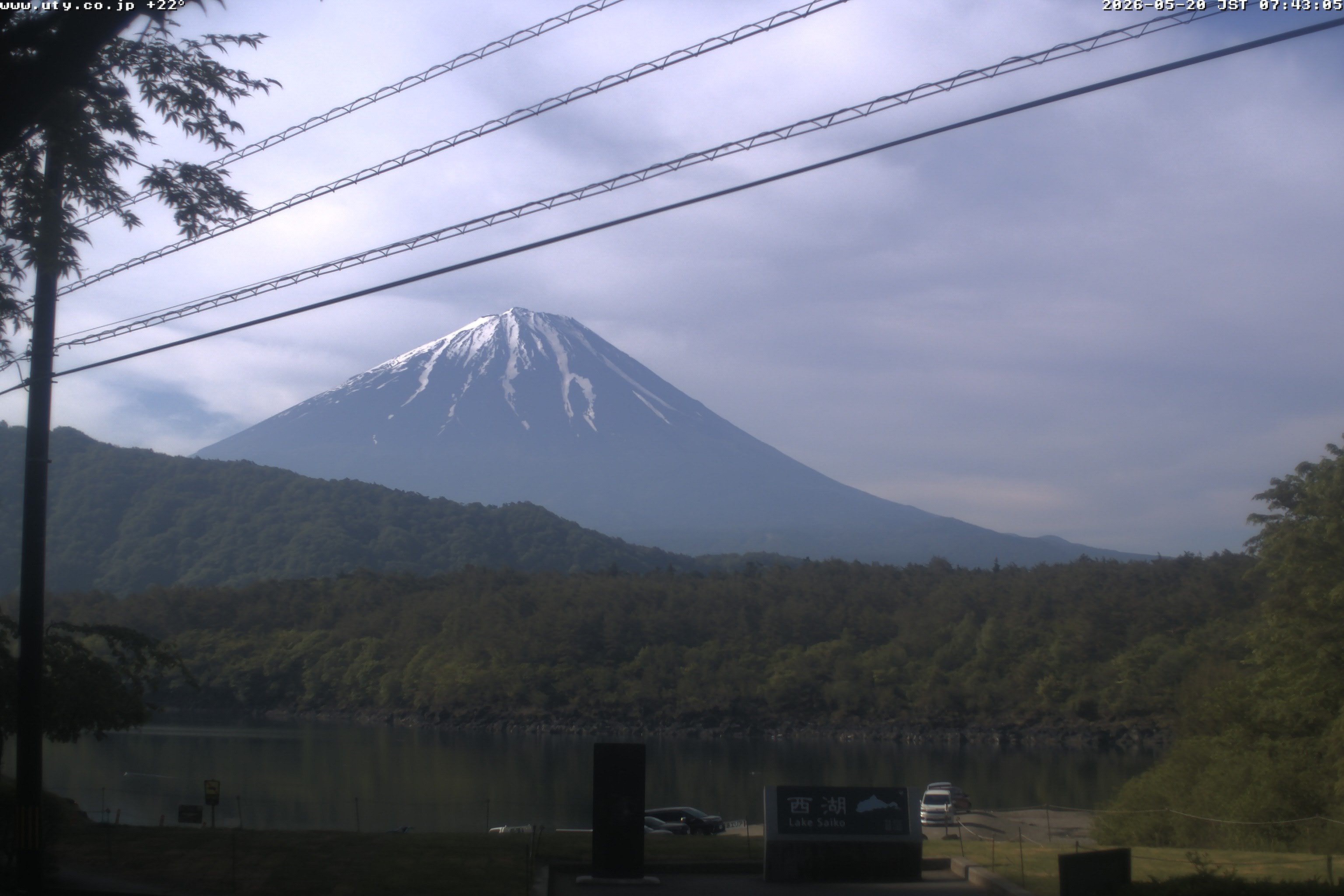 西湖ライブカメラ