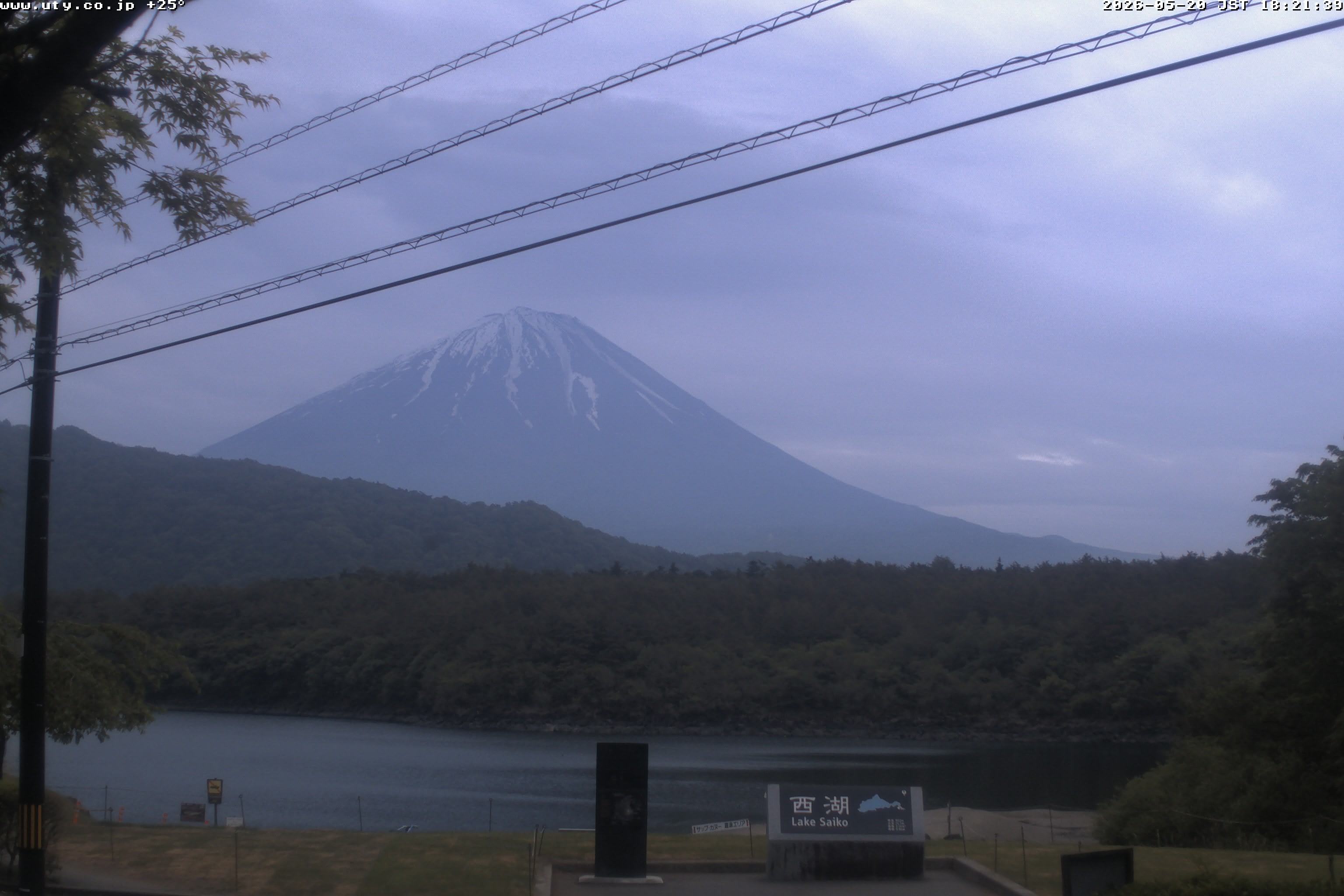 西湖ライブカメラ
