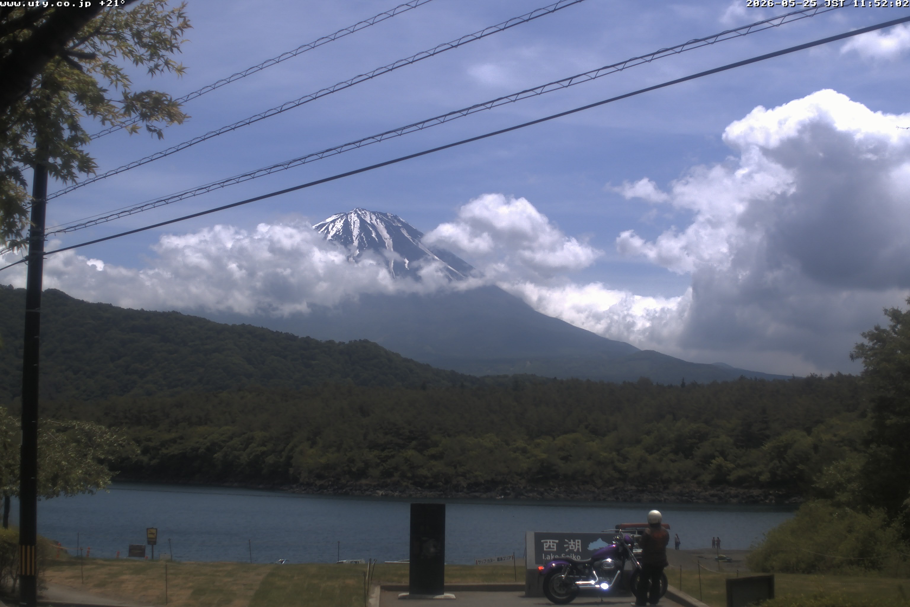 西湖ライブカメラ