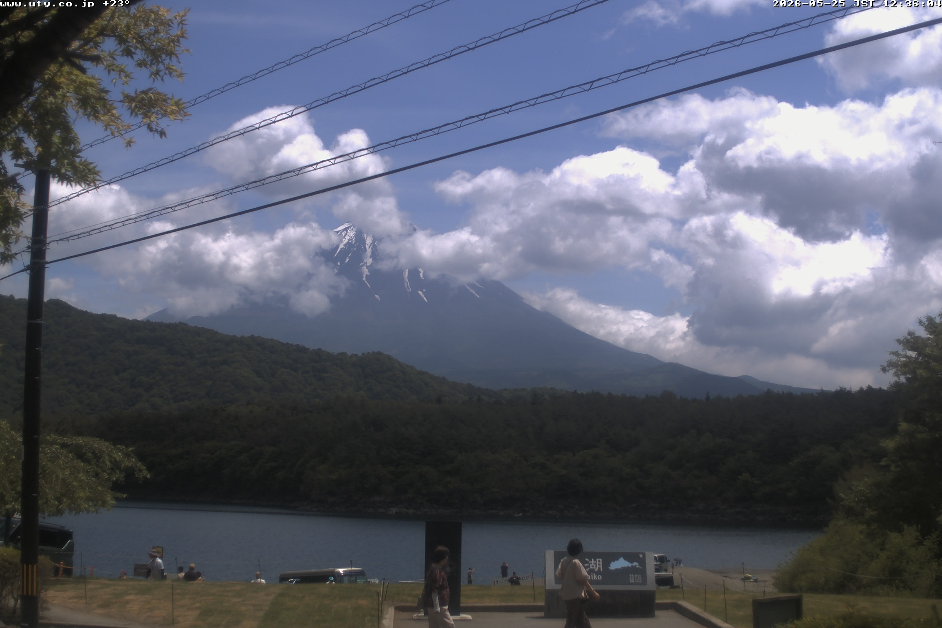 西湖ライブカメラ