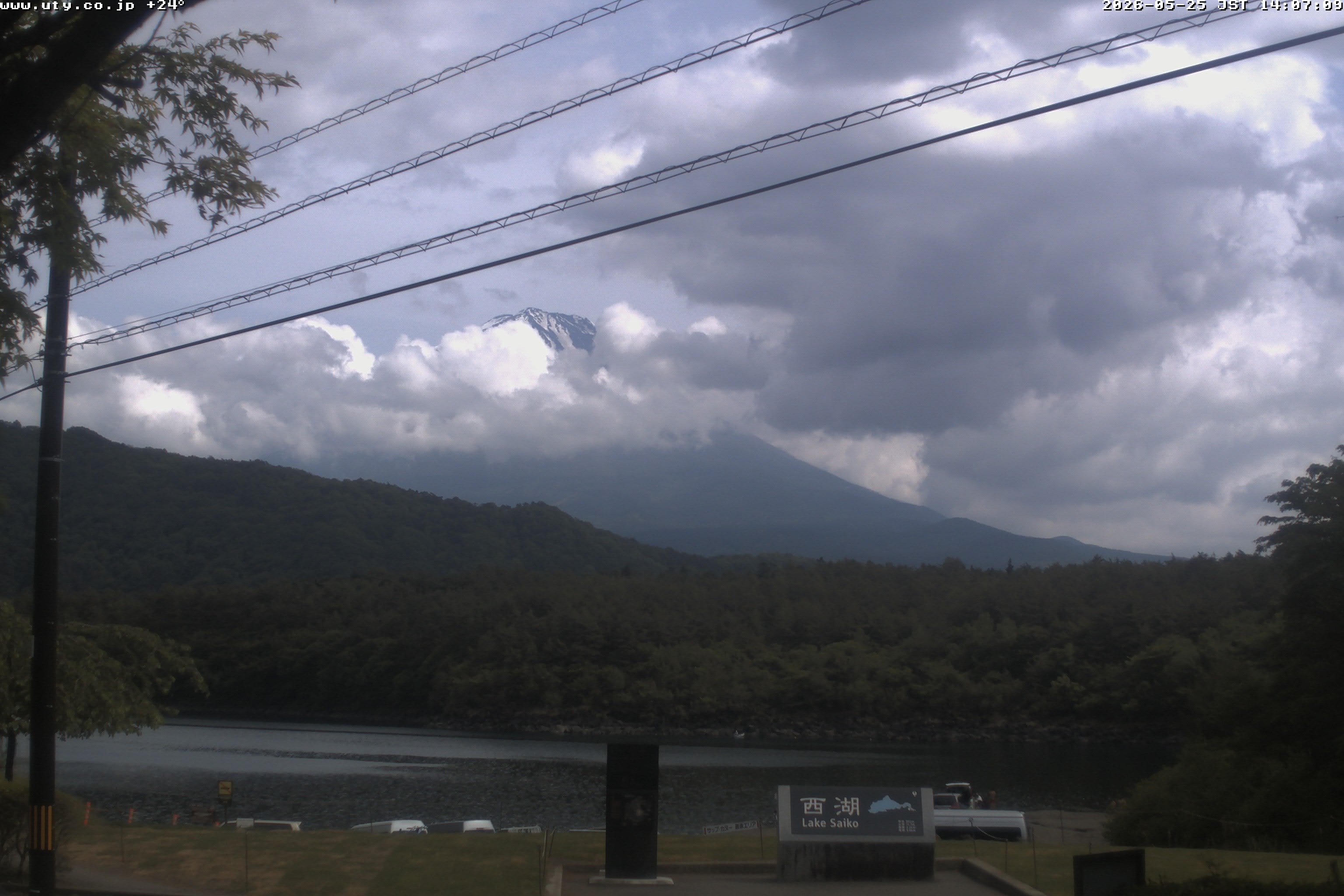 西湖ライブカメラ