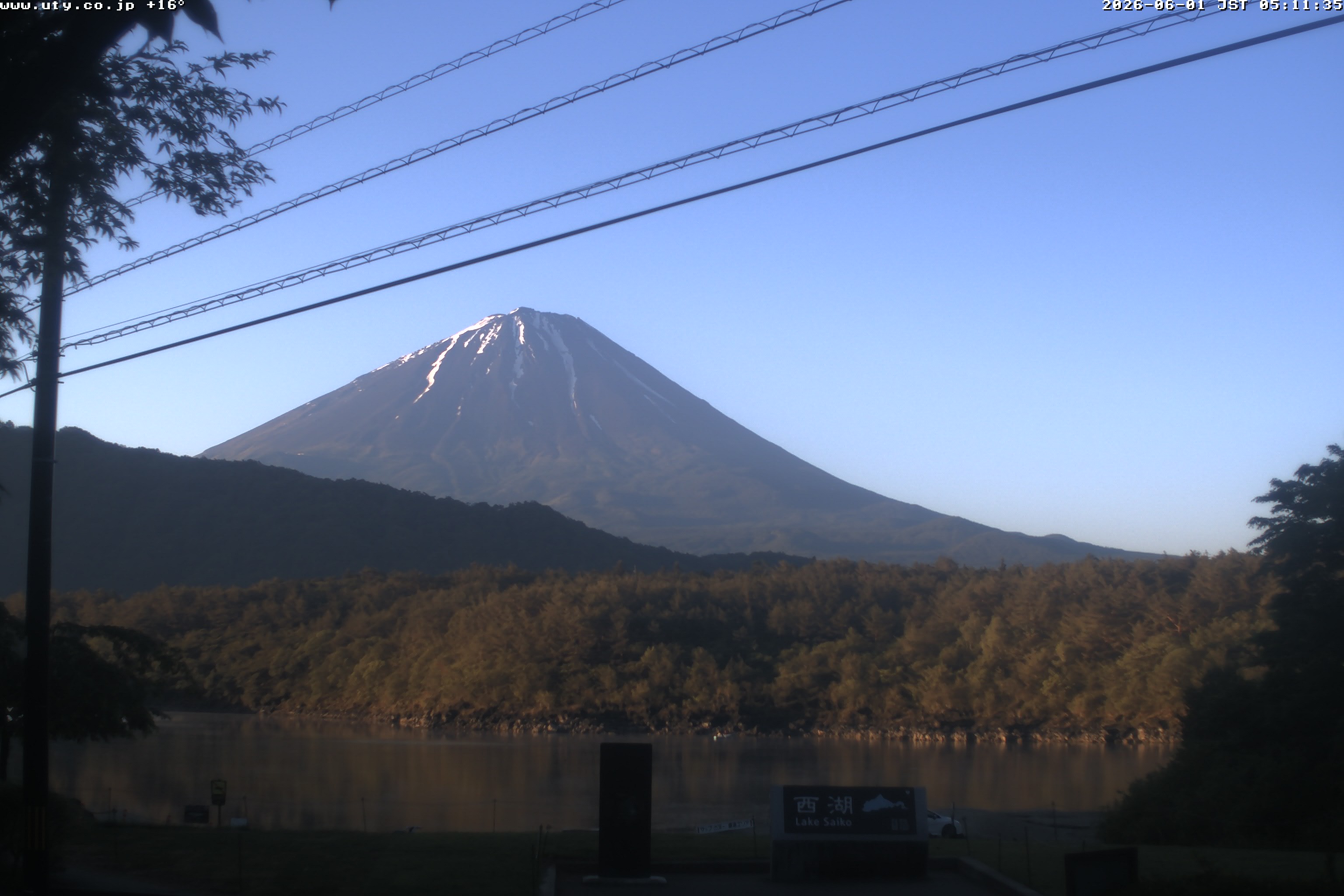 西湖ライブカメラ