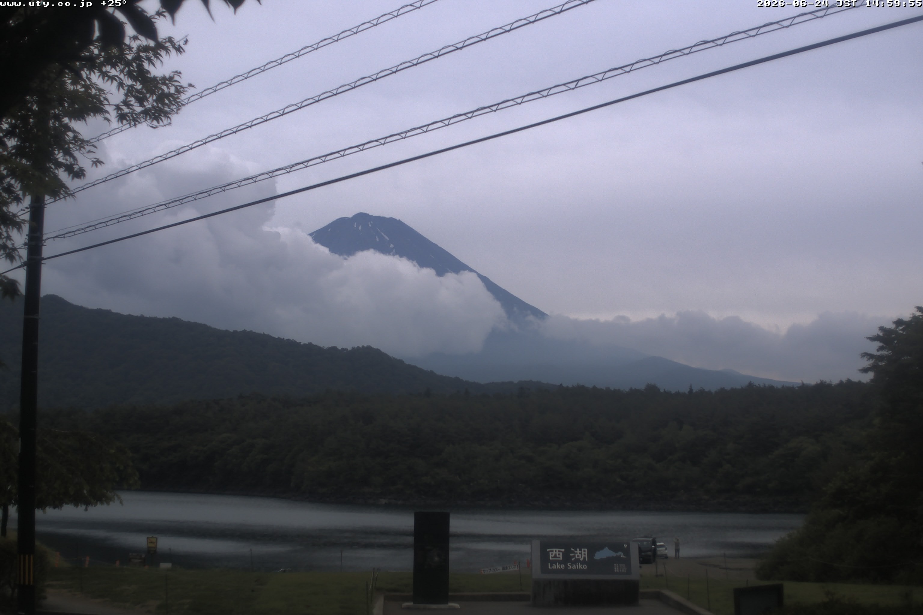 西湖ライブカメラ