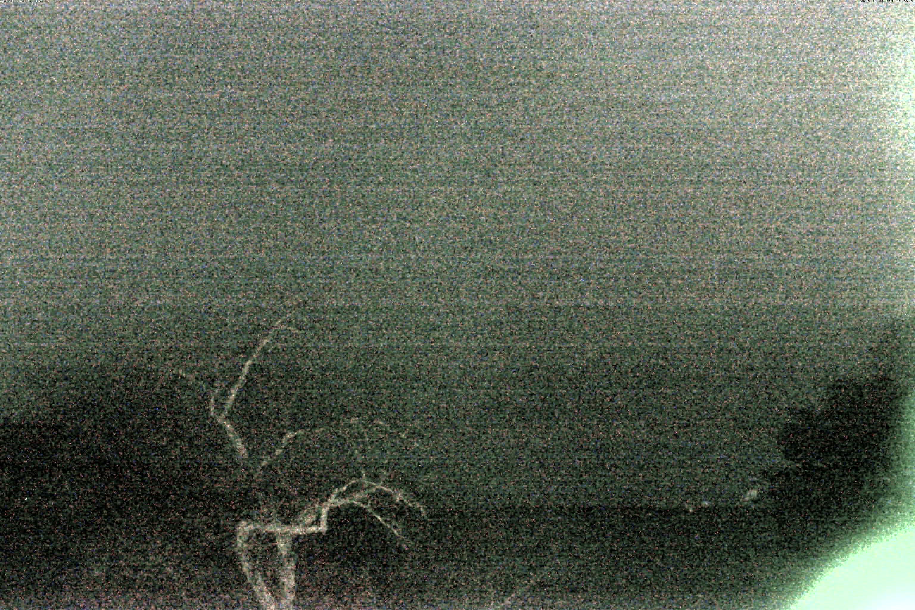 精進湖ライブカメラ