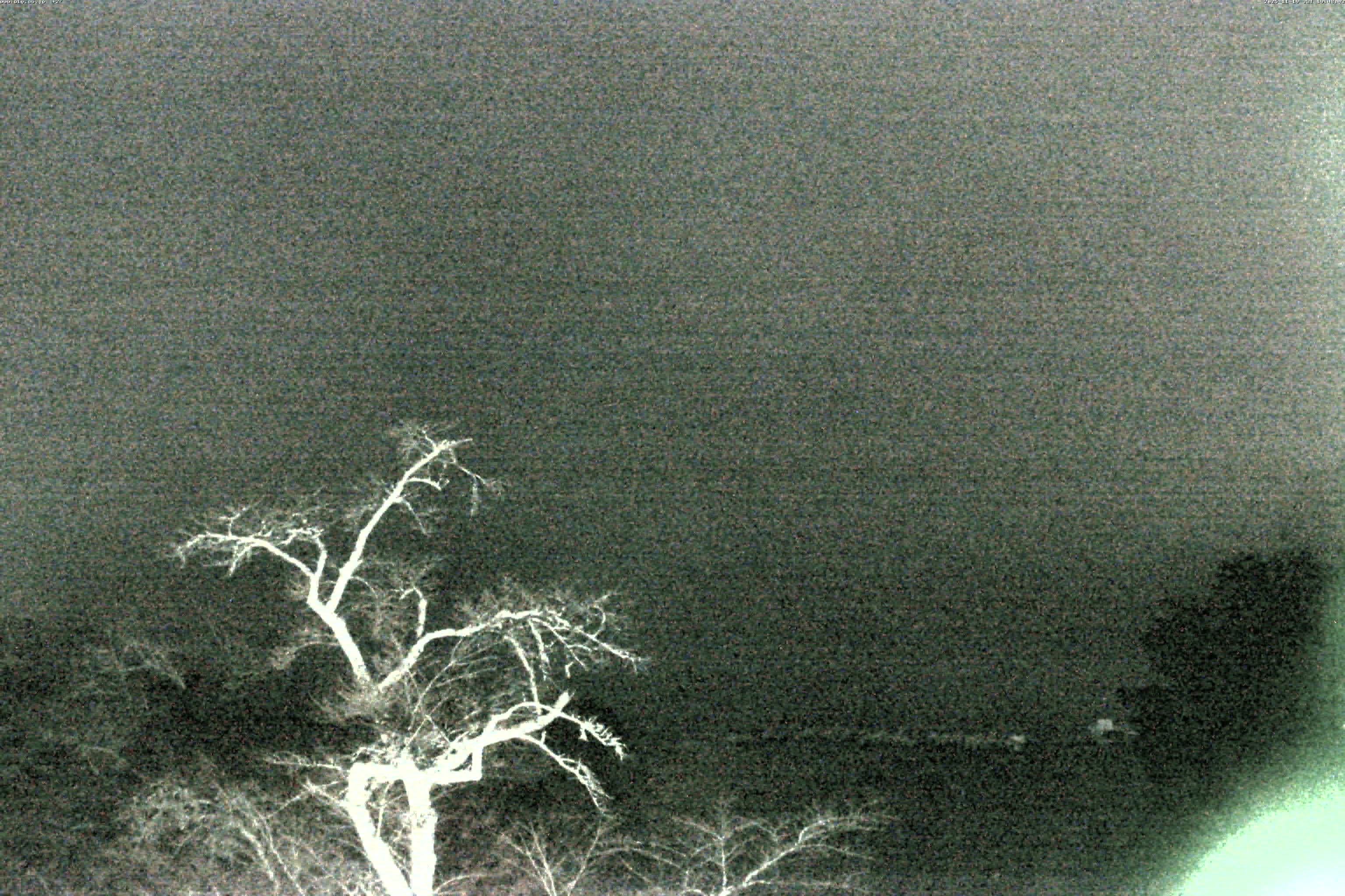 精進湖ライブカメラ