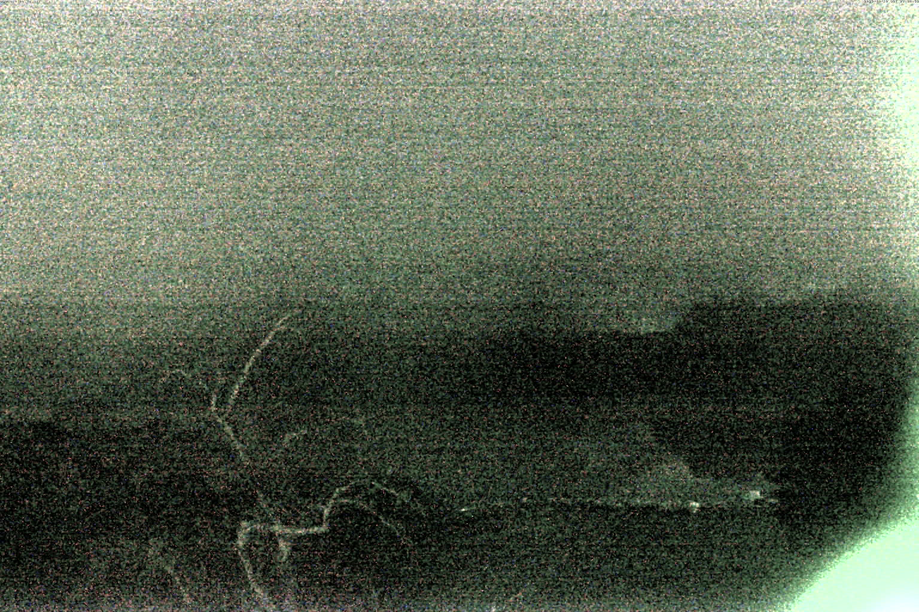 精進湖ライブカメラ