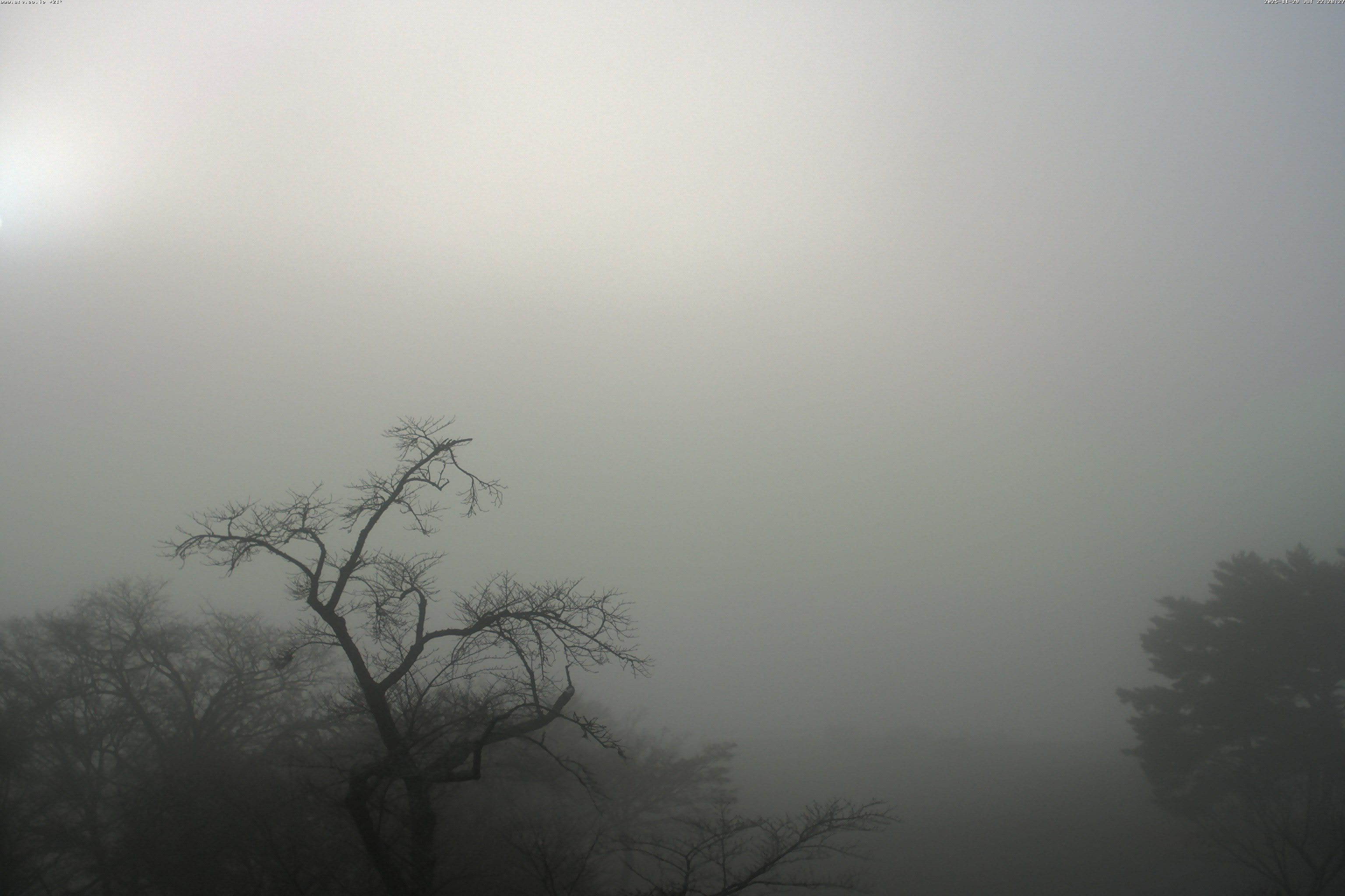 精進湖ライブカメラ