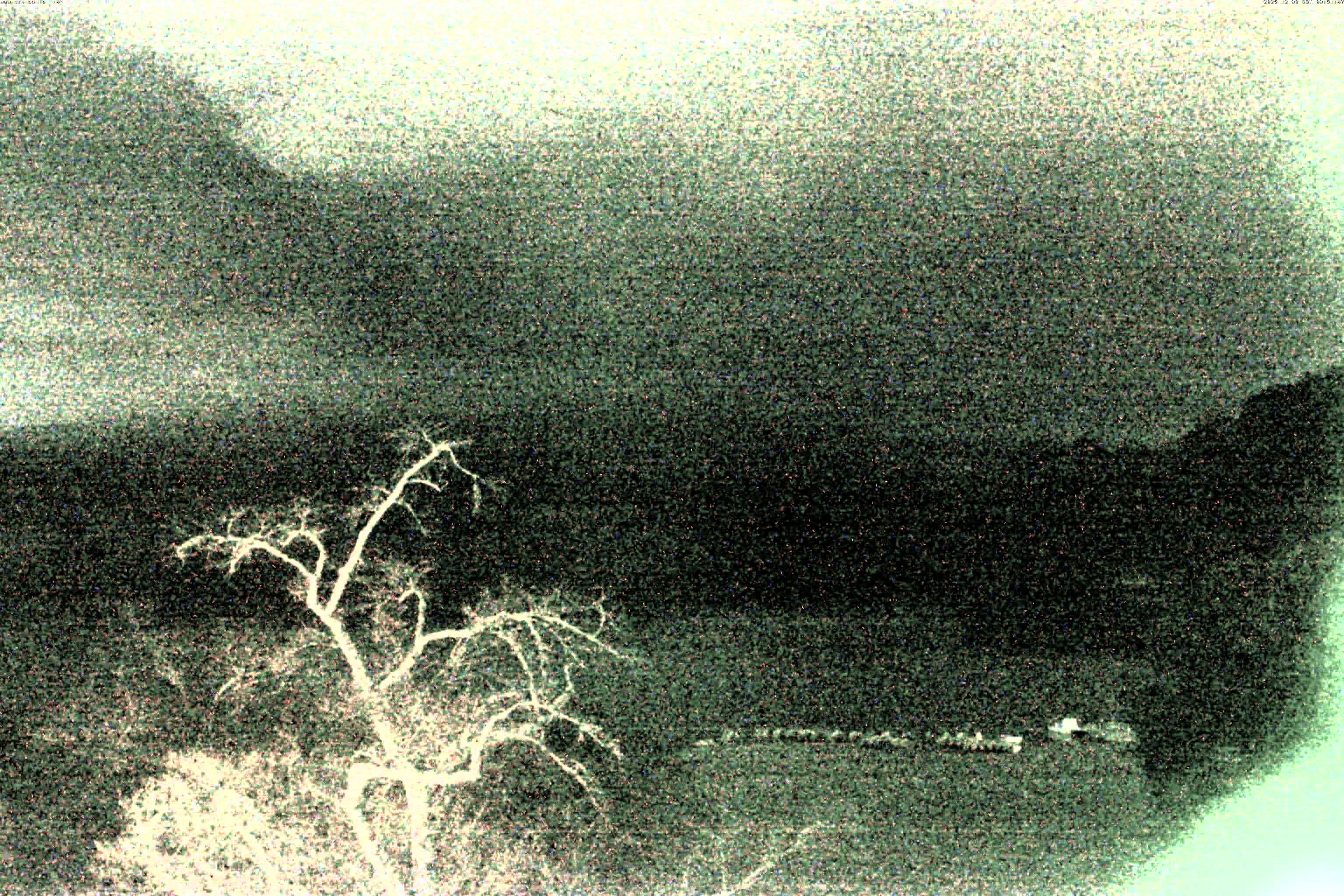 精進湖ライブカメラ