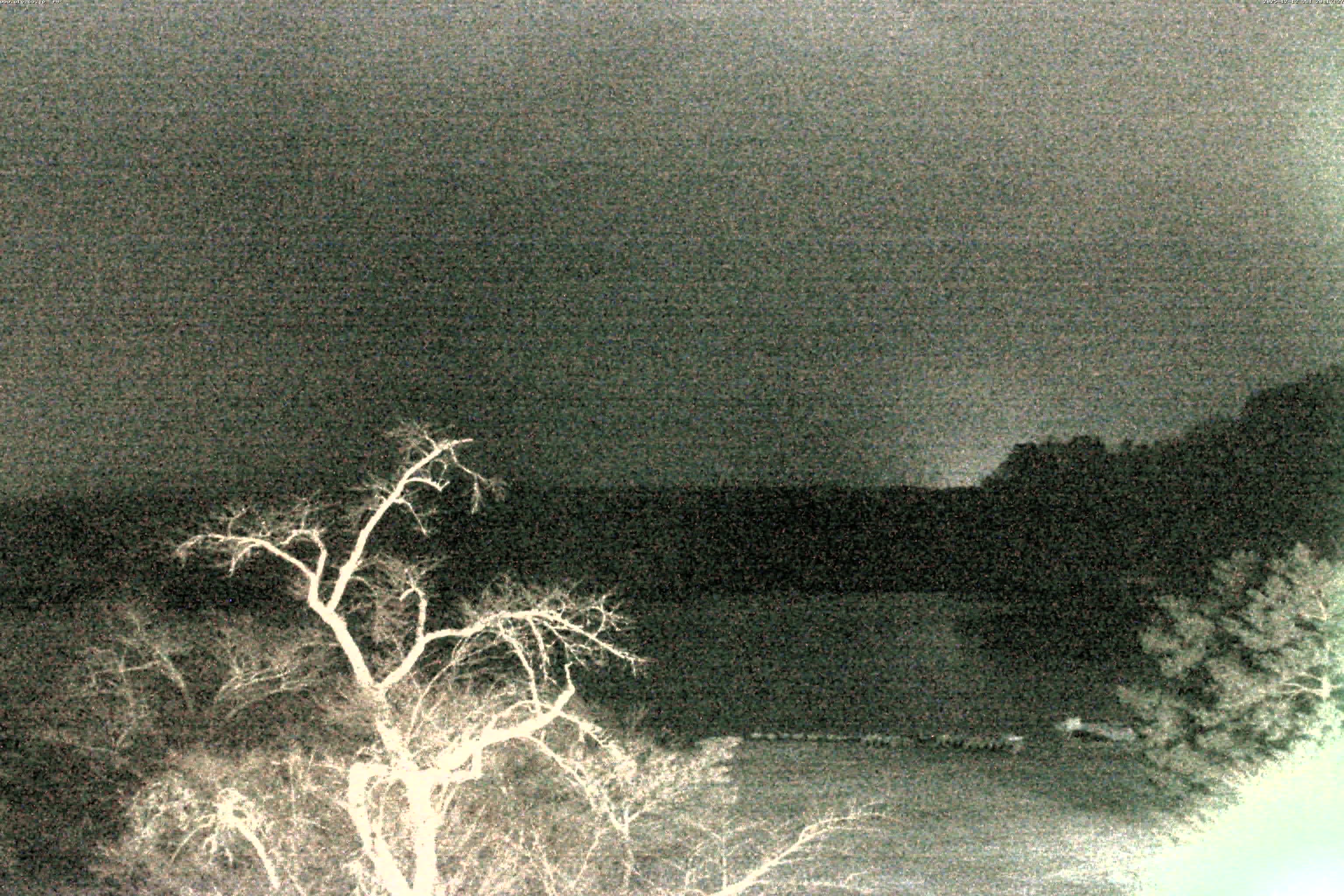 精進湖ライブカメラ