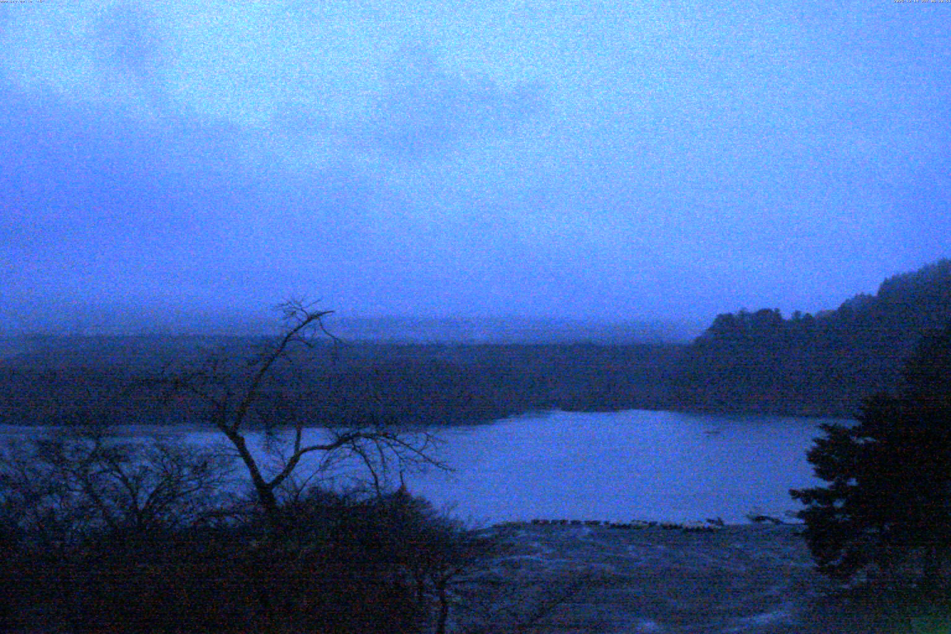 精進湖ライブカメラ