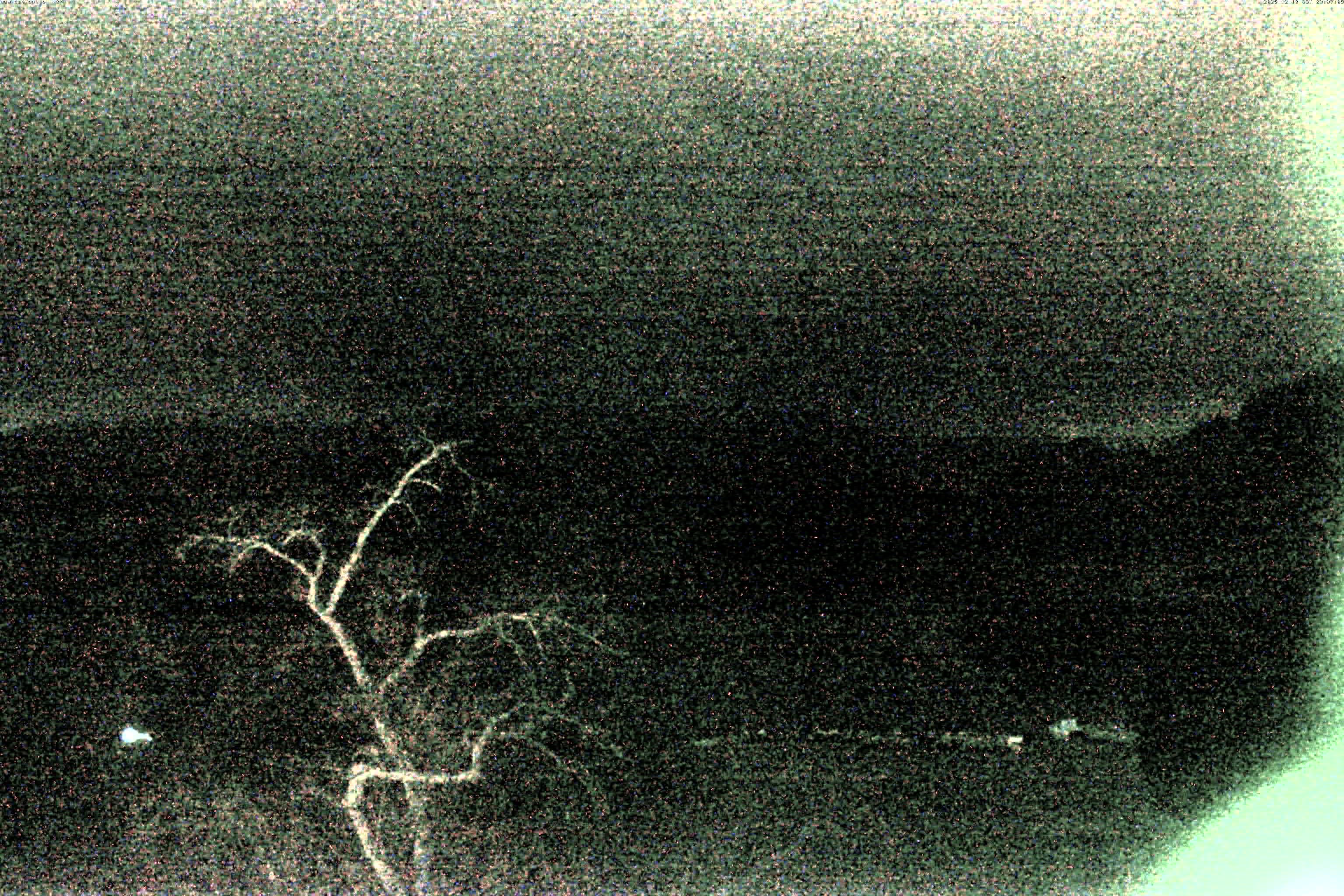 精進湖ライブカメラ