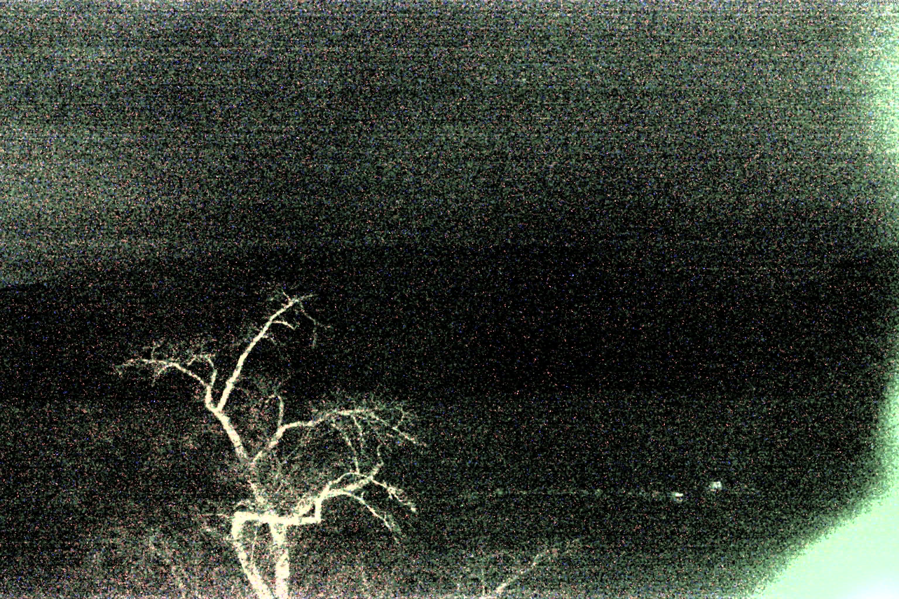 精進湖ライブカメラ