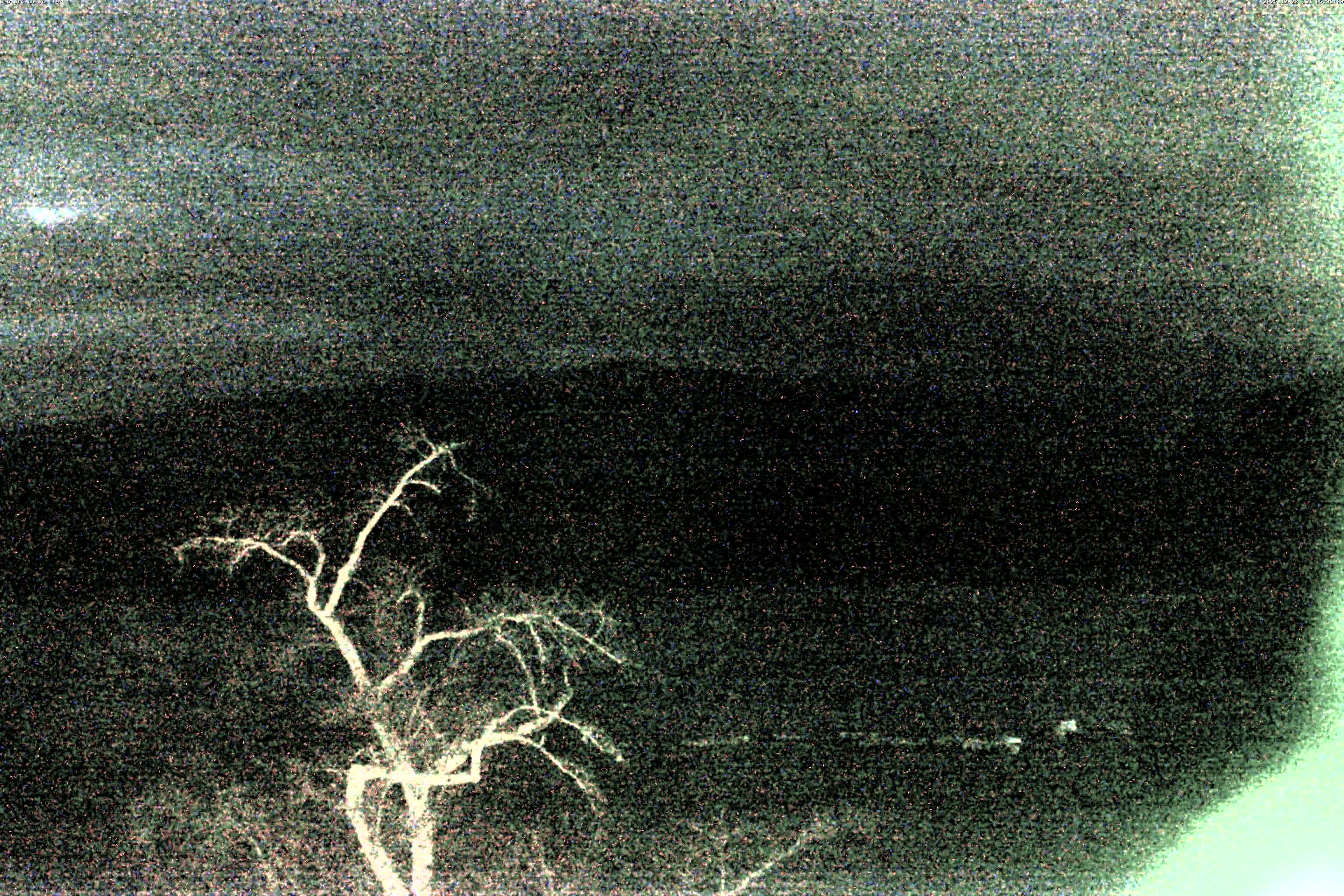 精進湖ライブカメラ