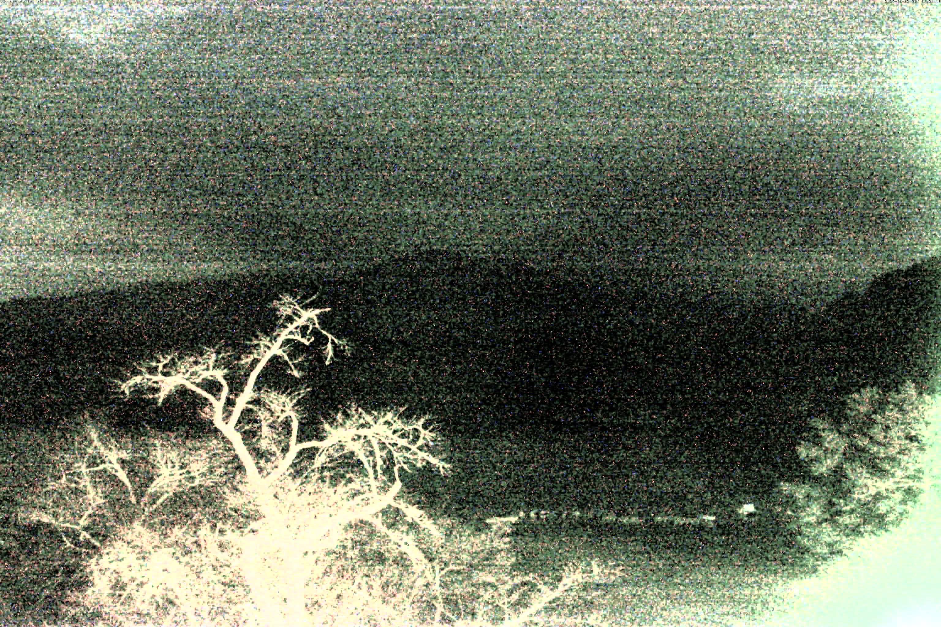 精進湖ライブカメラ