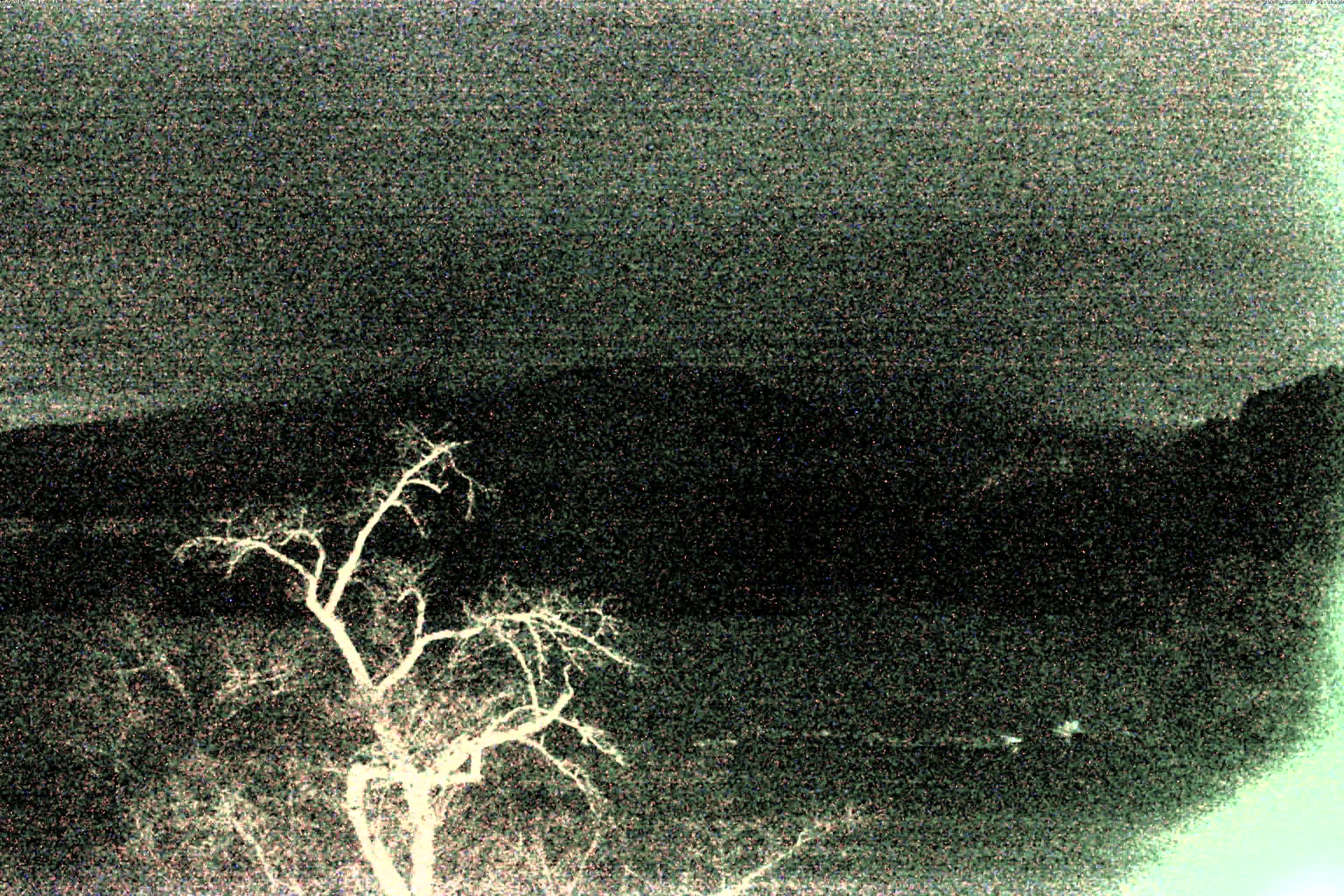 精進湖ライブカメラ