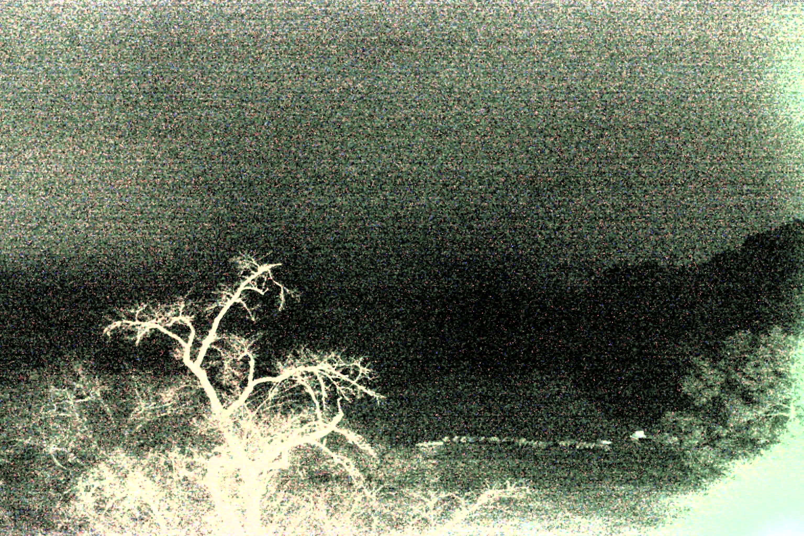 精進湖ライブカメラ