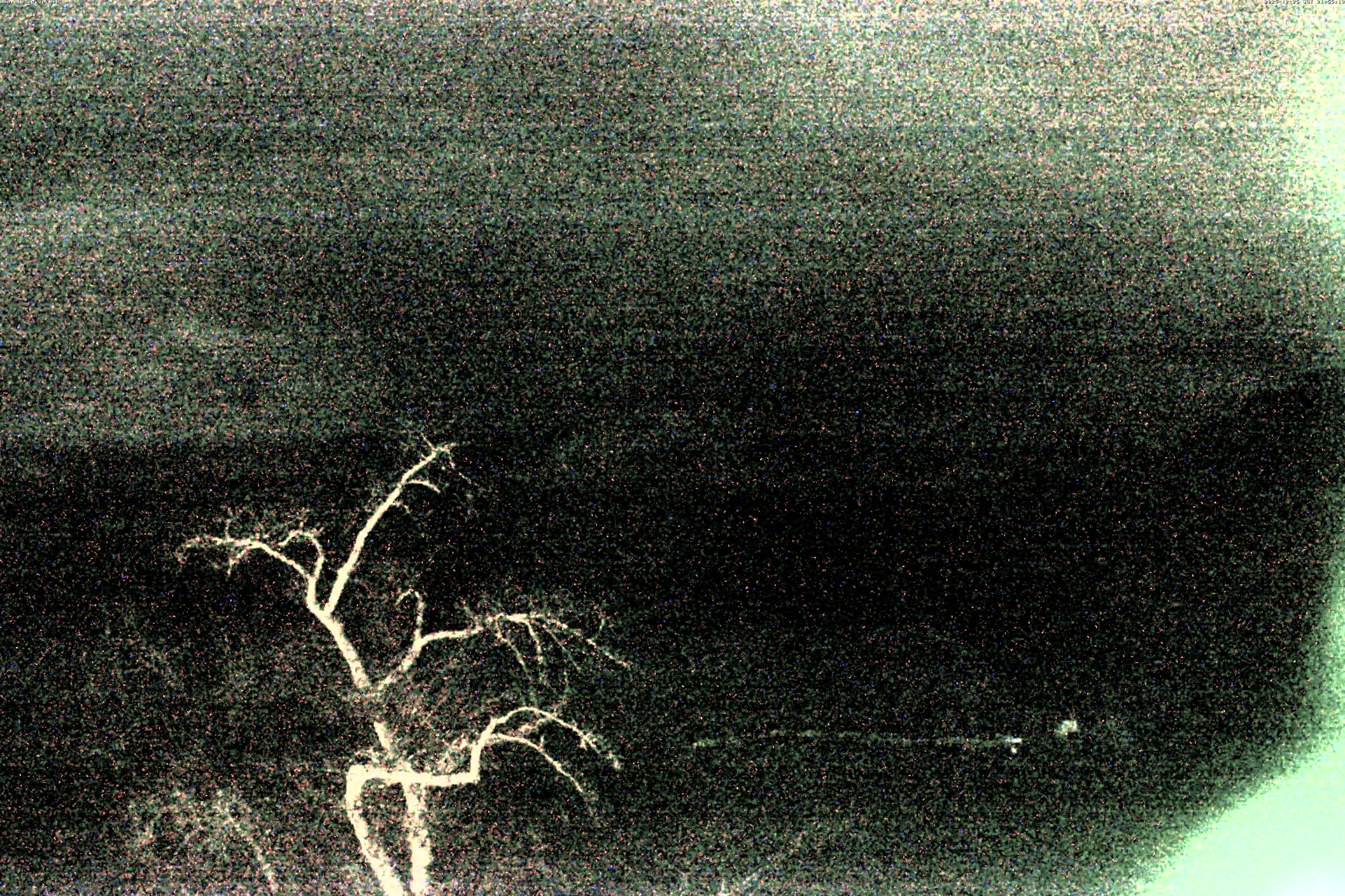 精進湖ライブカメラ