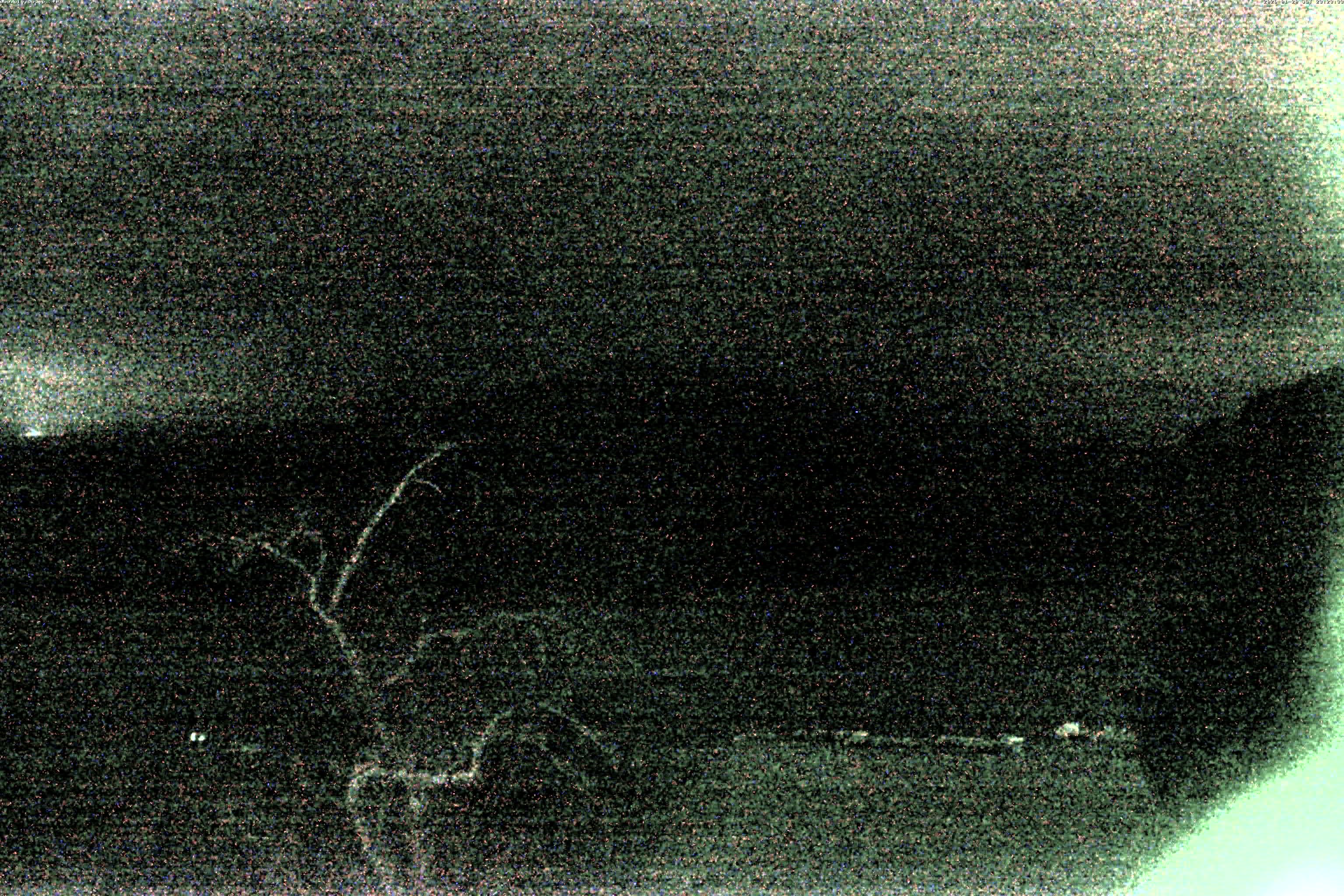 精進湖ライブカメラ