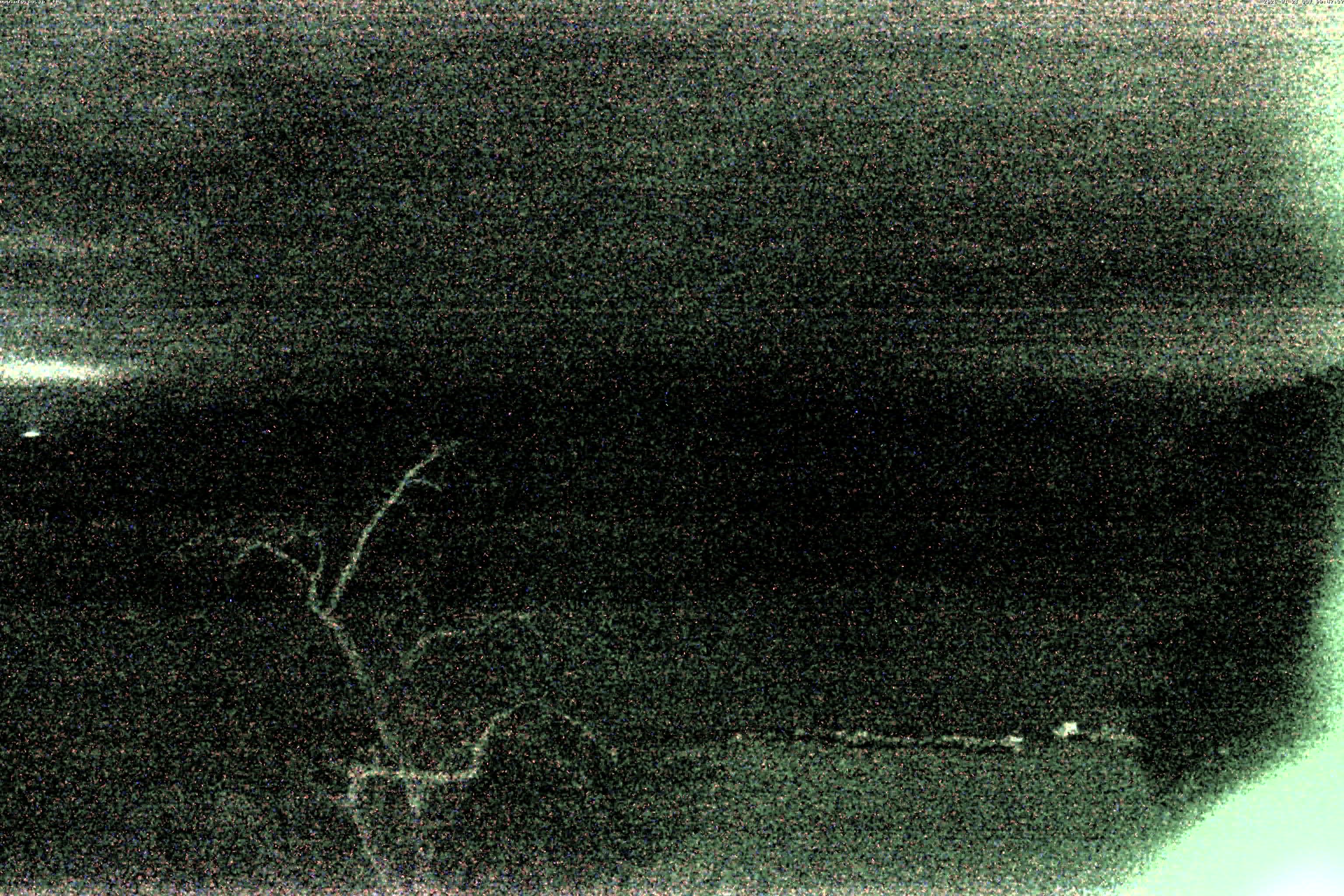 精進湖ライブカメラ