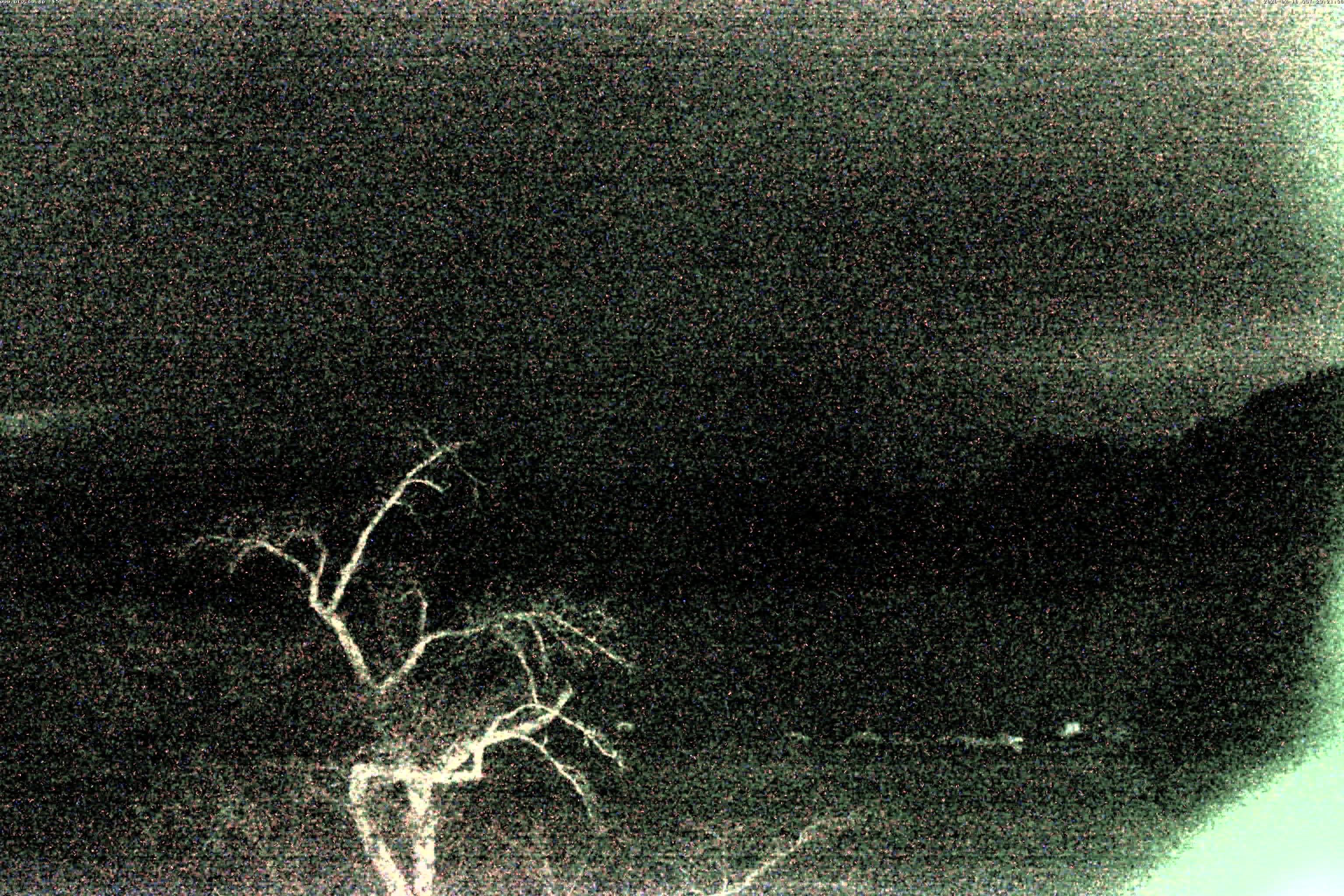 精進湖ライブカメラ