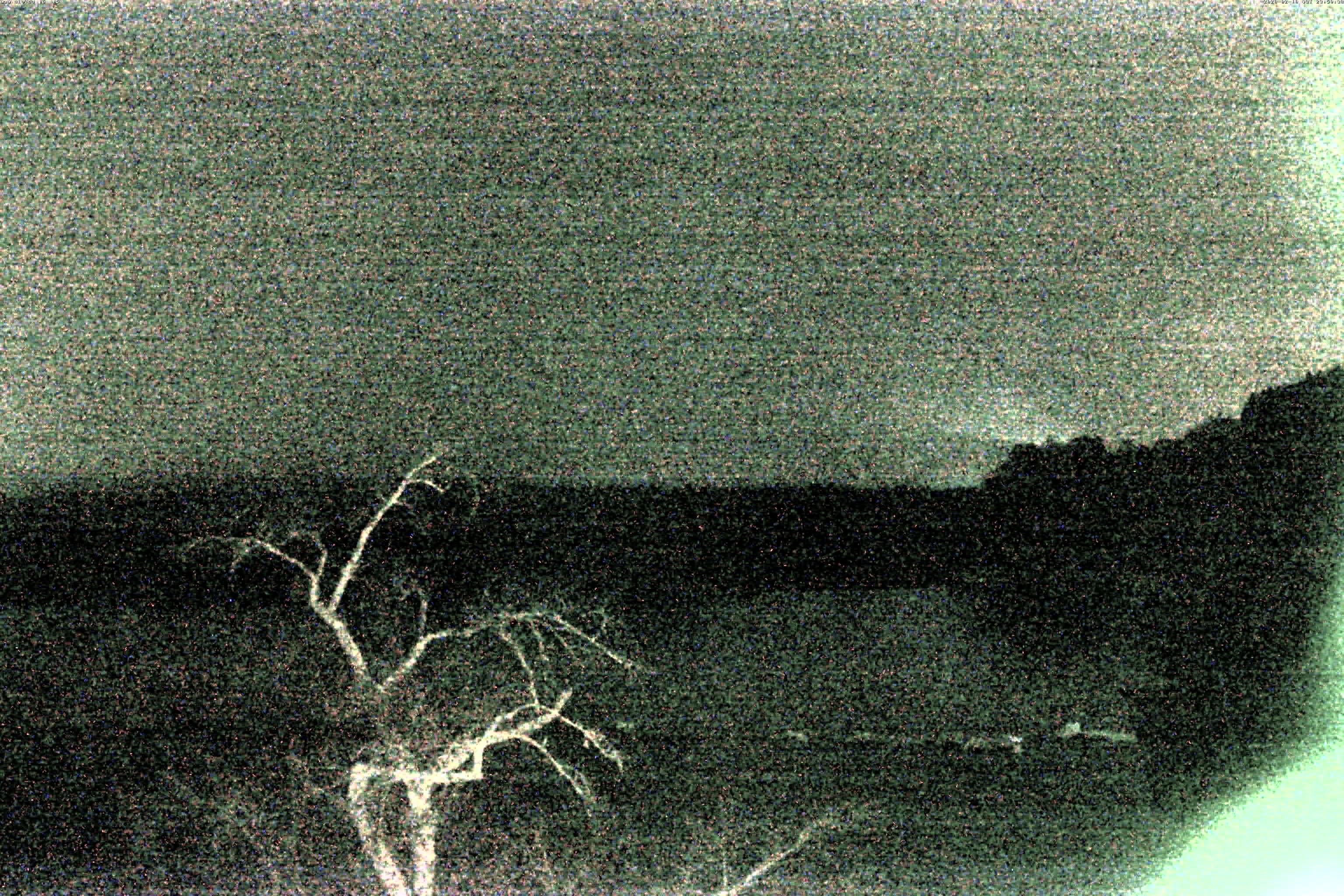 精進湖ライブカメラ