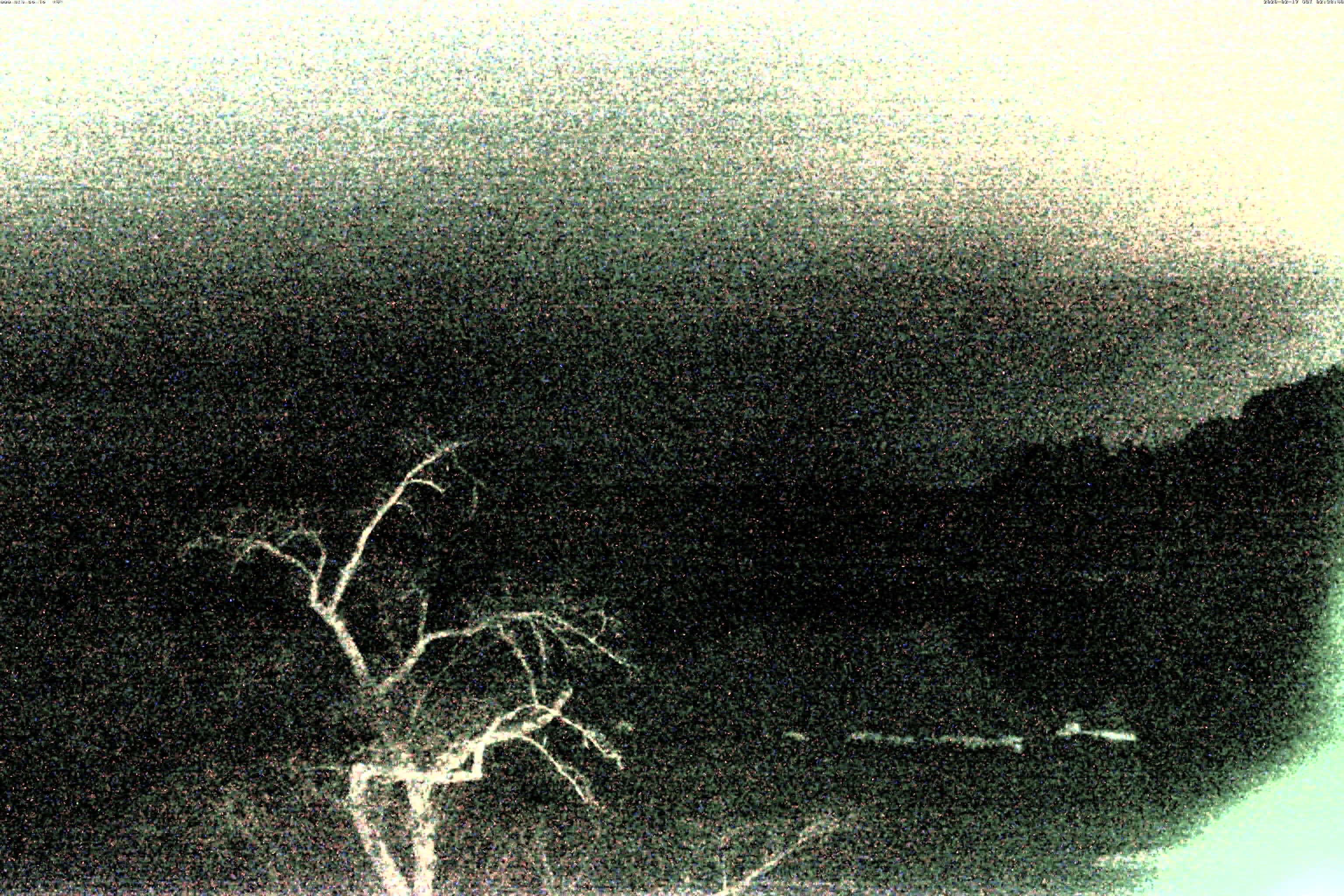 精進湖ライブカメラ