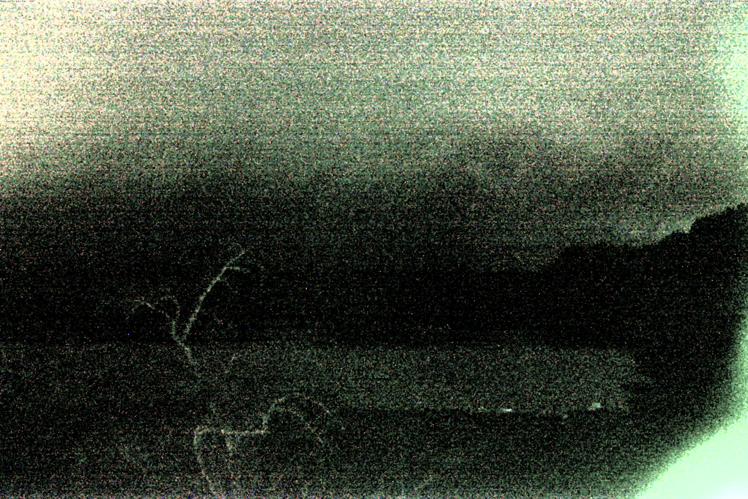 精進湖ライブカメラ