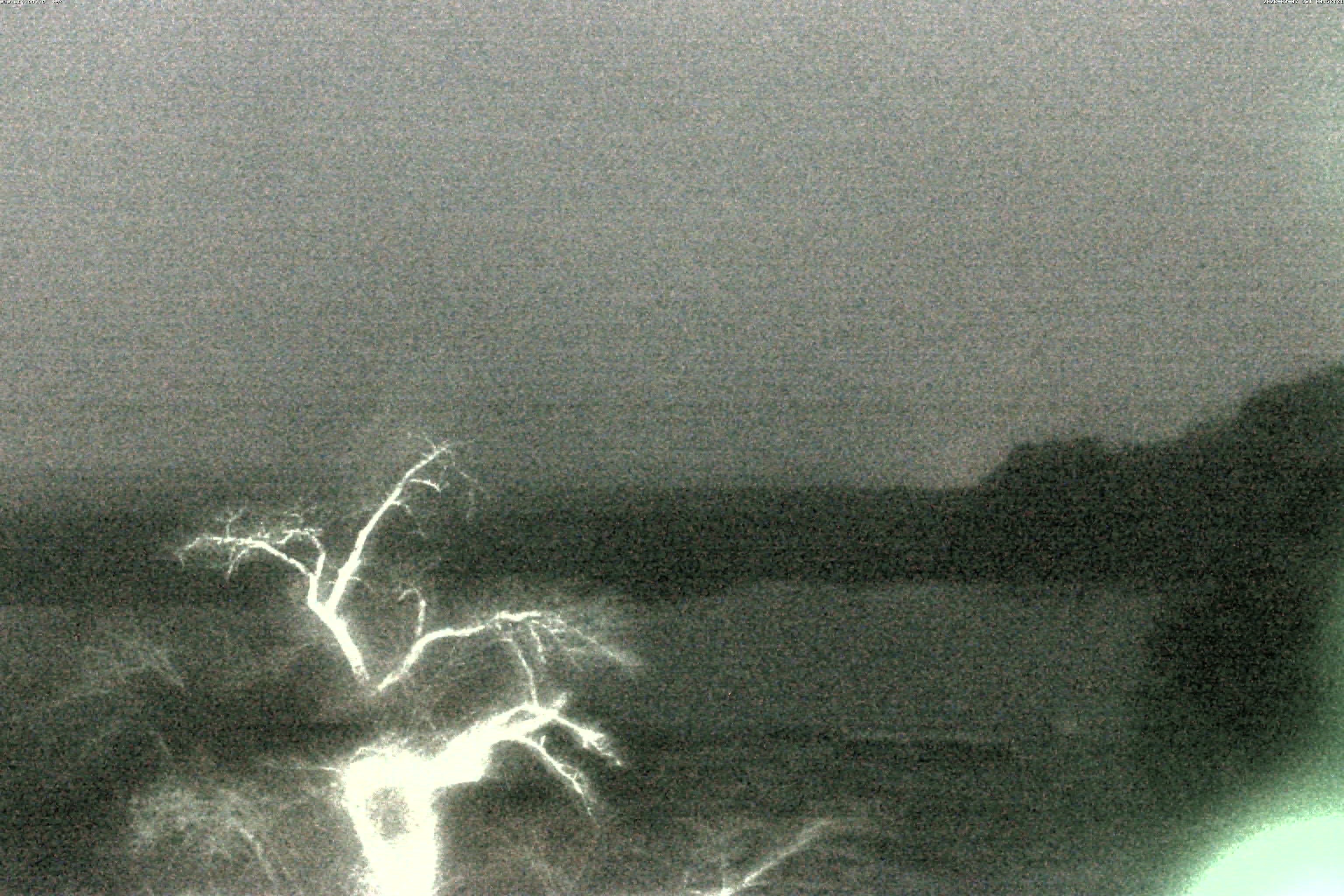 精進湖ライブカメラ