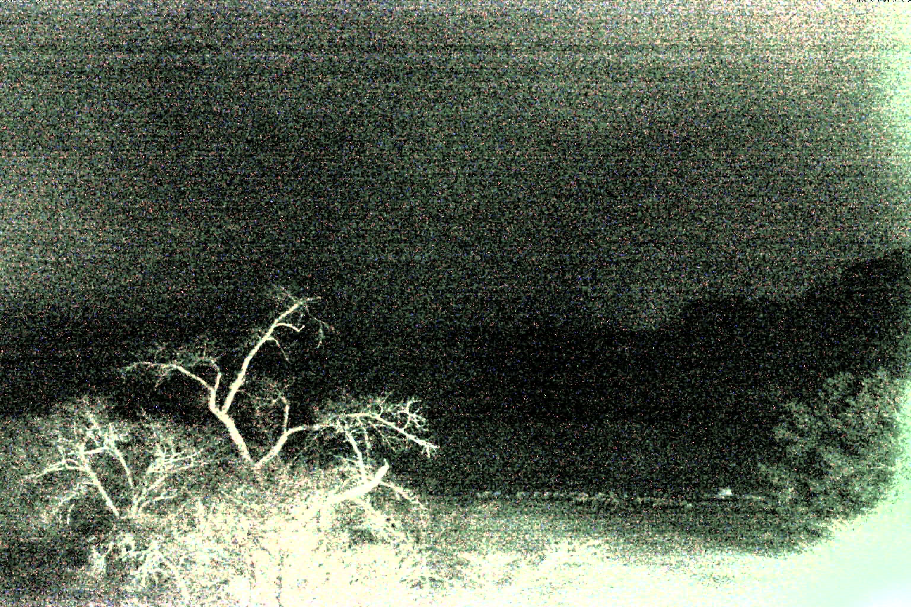 精進湖ライブカメラ