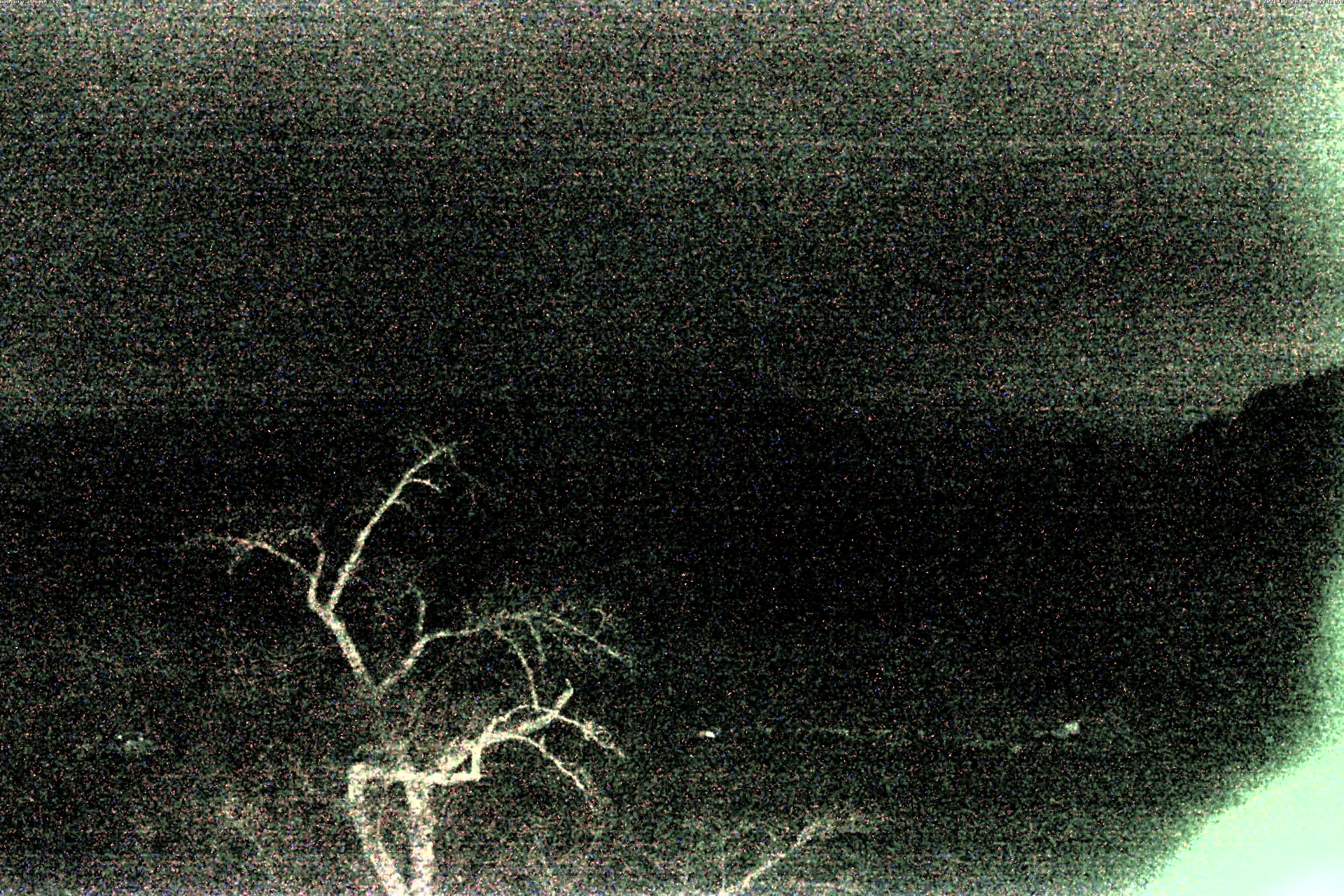 精進湖ライブカメラ