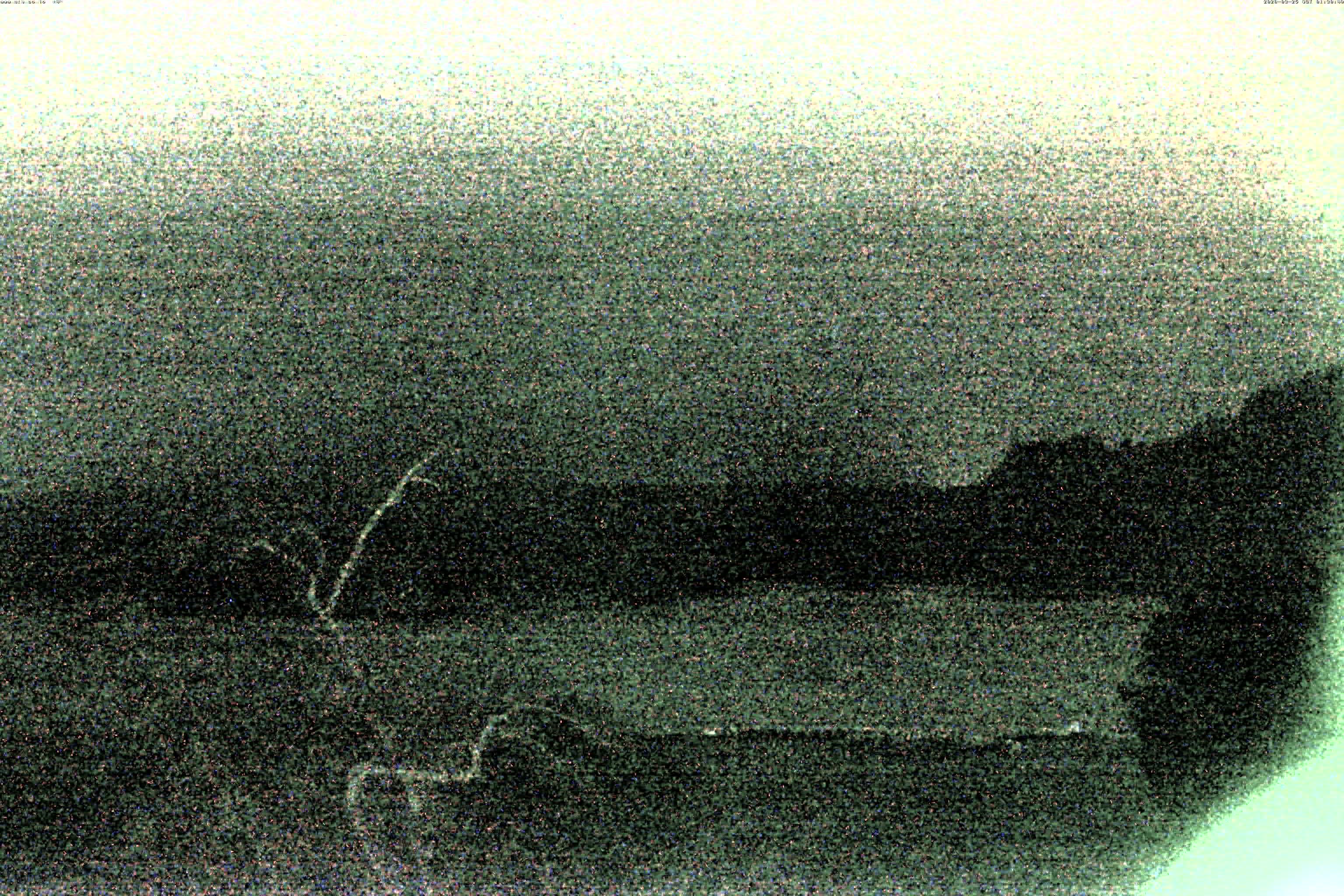 精進湖ライブカメラ