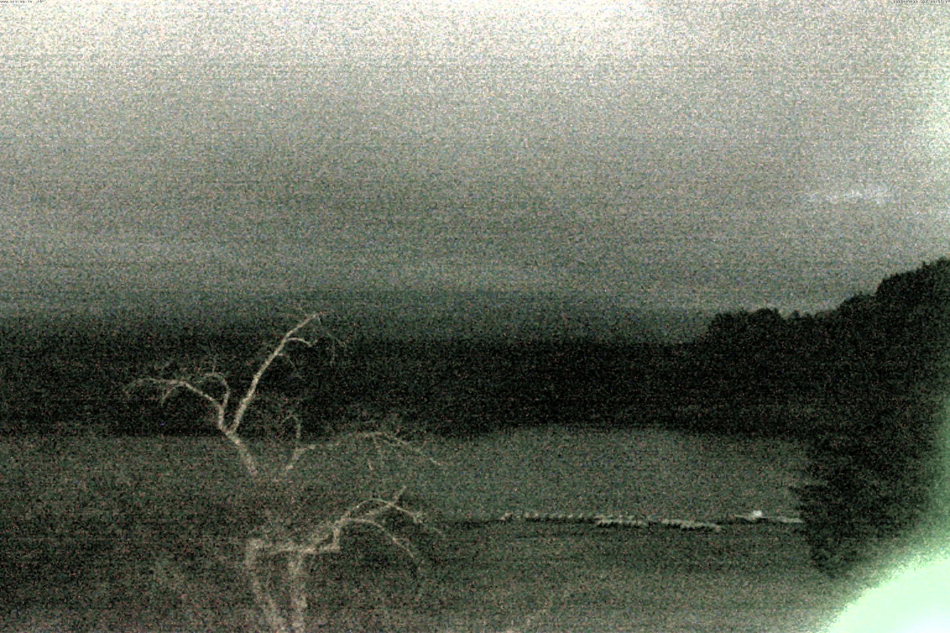 精進湖ライブカメラ