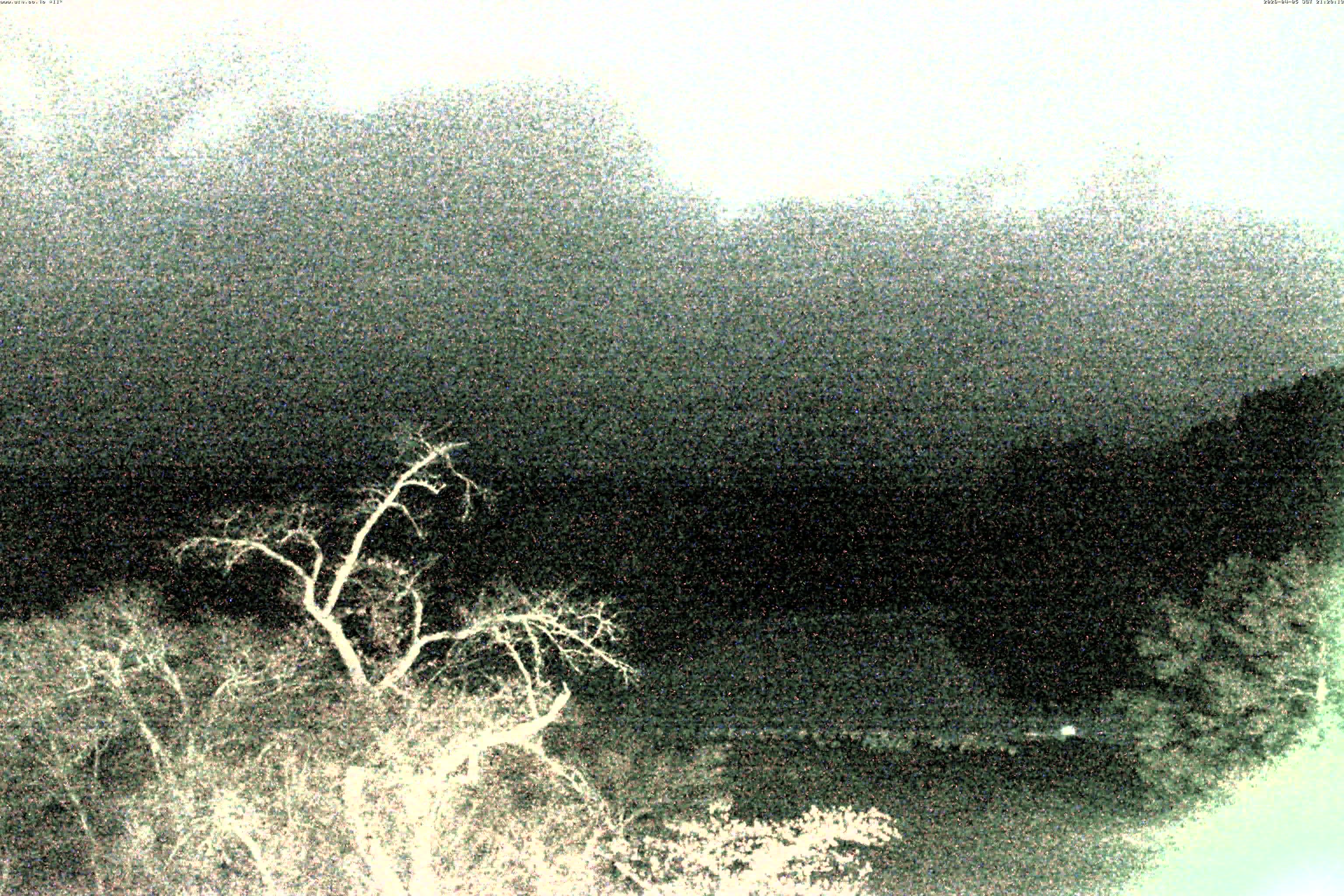 精進湖ライブカメラ