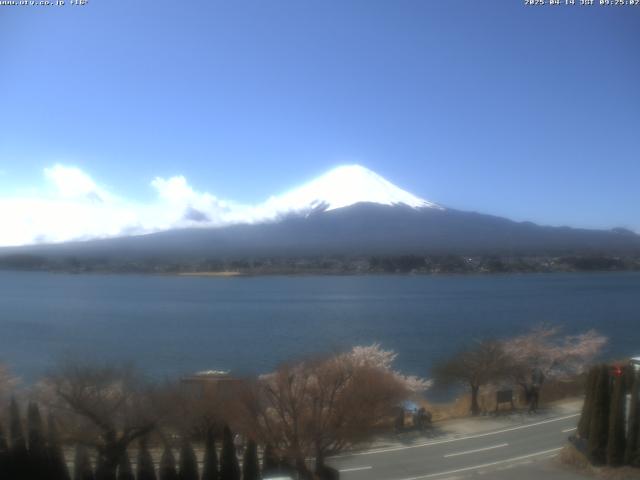 河口湖からの富士山