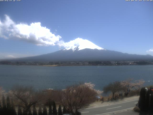 河口湖からの富士山