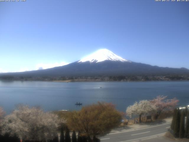 河口湖からの富士山