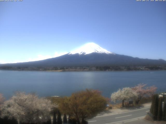 河口湖からの富士山