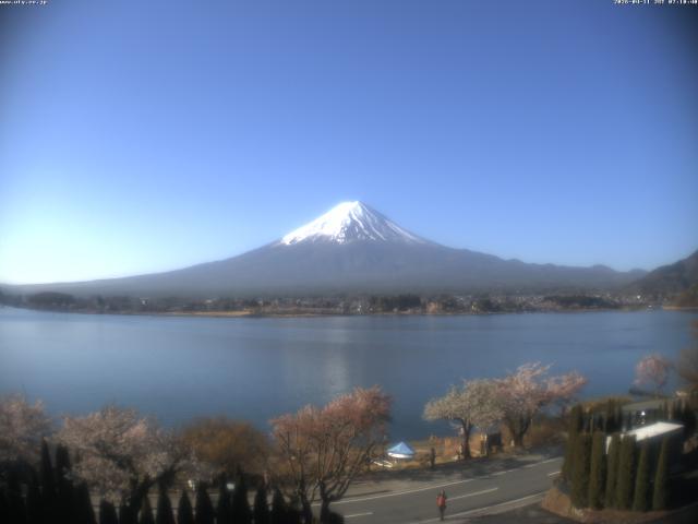河口湖からの富士山