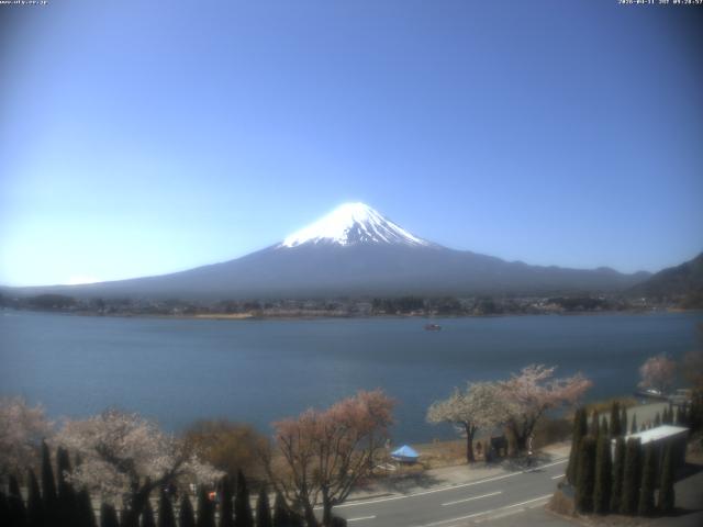 河口湖からの富士山