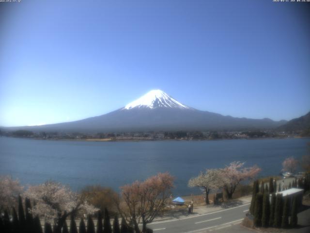 河口湖からの富士山