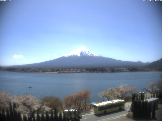 河口湖からの富士山