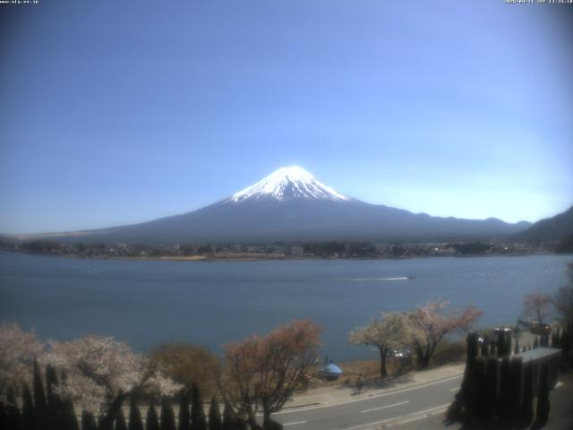 河口湖からの富士山