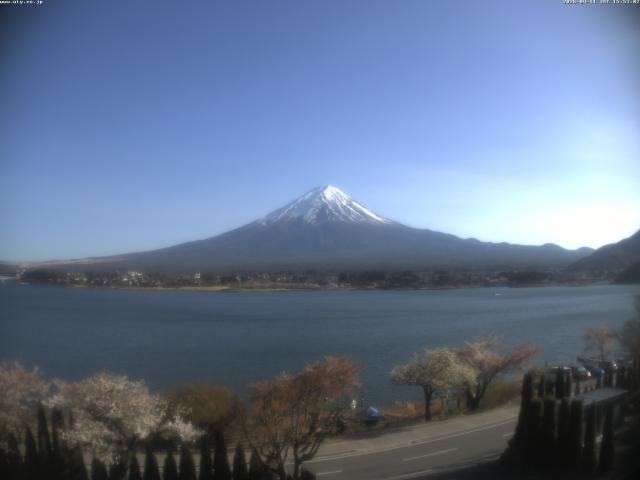 河口湖からの富士山