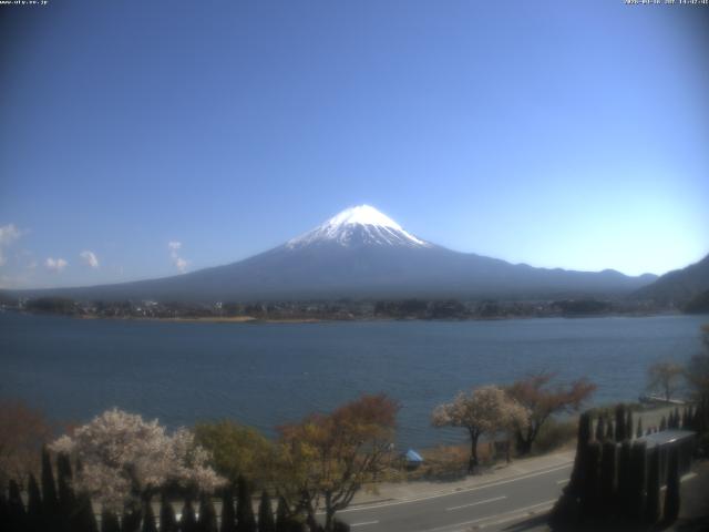 河口湖からの富士山