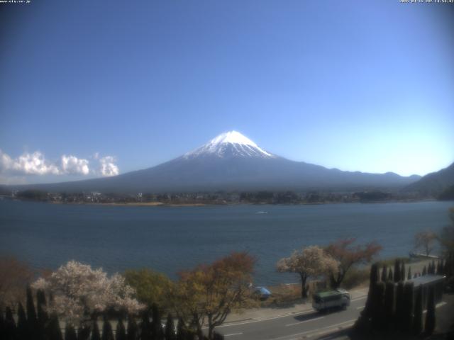 河口湖からの富士山