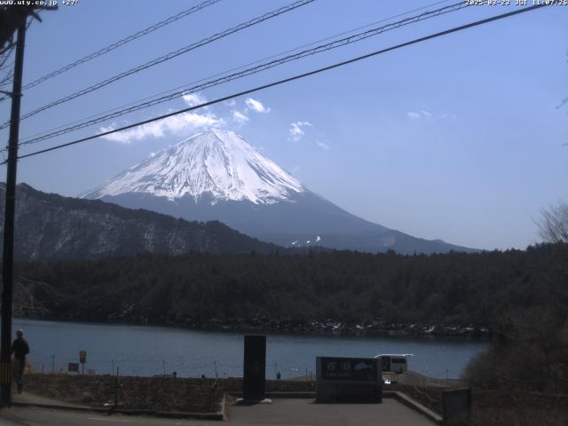 西湖からの富士山
