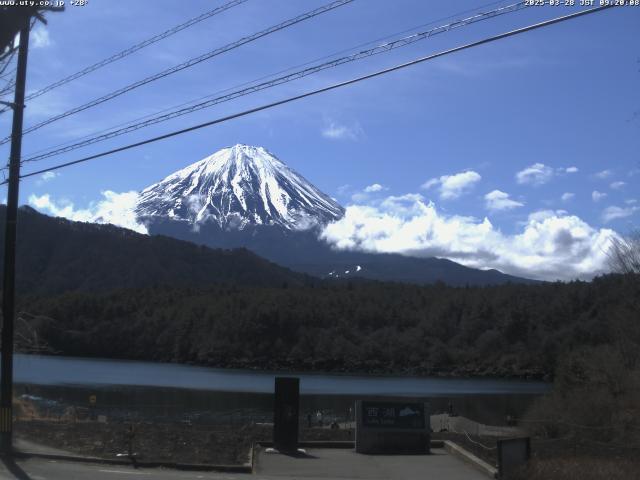 西湖からの富士山