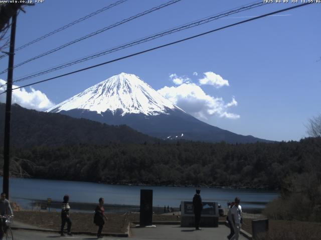 西湖からの富士山