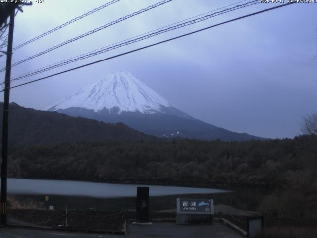 西湖からの富士山